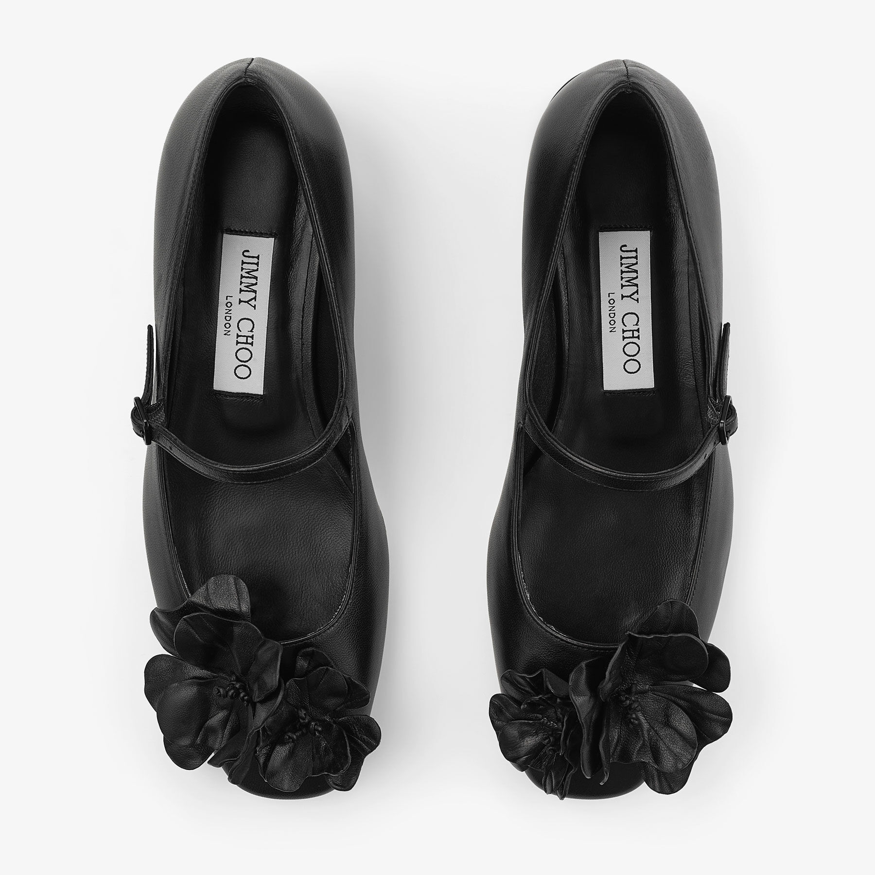 Rosa Flowers Flat New Collection Jimmy Choo