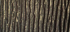 METALLIC DENIM EMBOSSED LEATHER