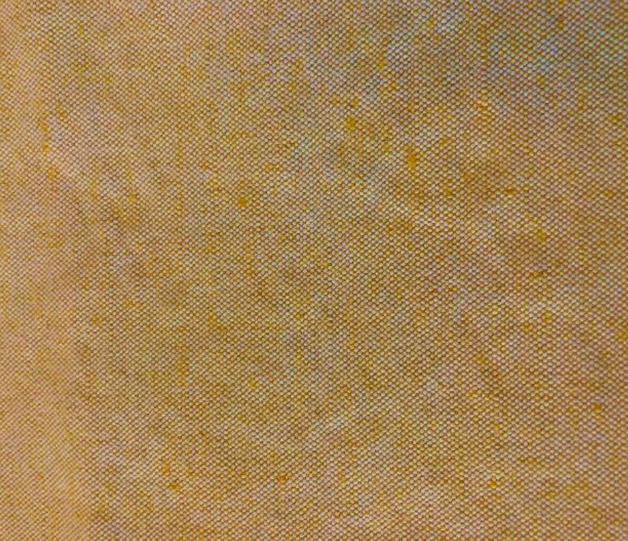 Flecked Canvas
