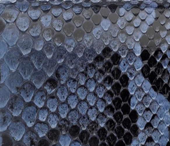 Polished Python