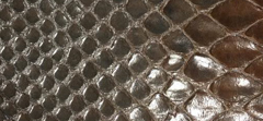 GLAZED PYTHON