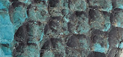 Lace Print Python