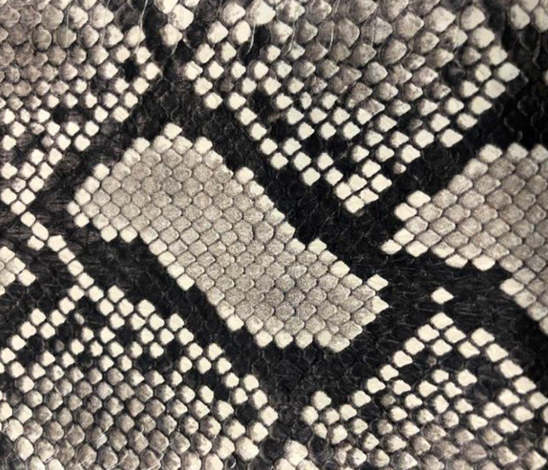 Printed Elaphe