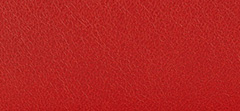 Mirror Leather