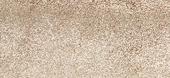 Coarse Metallic Leather