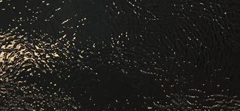 SHINY NAPLACK W/STUDS TRIM