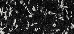 Glitter Fabric