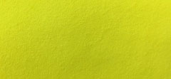 NEON SUEDE
