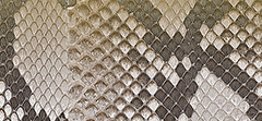 Lace Print Python