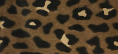LEOPARD PRINT PONY