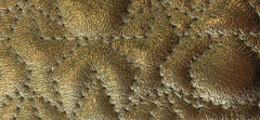 GRAPHIC STAR QUILTED METALLIC NAPPA