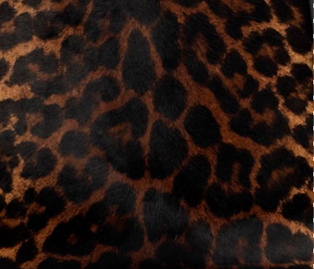Degrade Leopard Print Pony