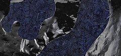 Glitter Fabric