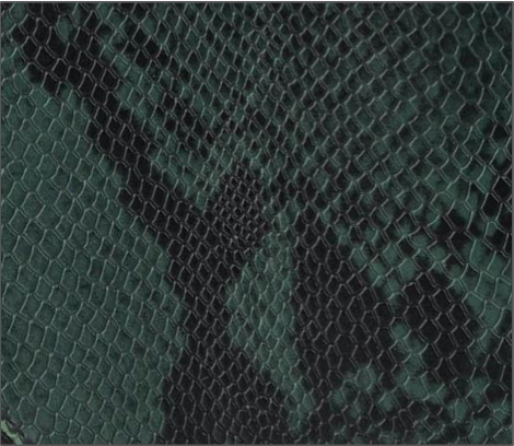 Printed Python