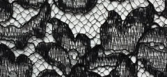 WETLOOK LACE ON SUEDE