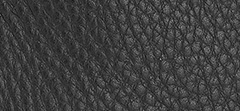 Mirror Leather