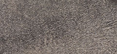 Metallic Cracked Leather