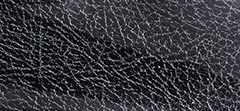 Mirror Leather