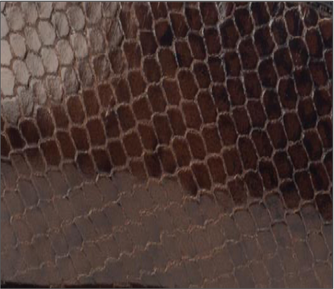 Shiny Snake Print Leather