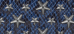 Mirror Leather