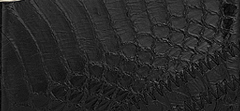 Pleated / Herringbone Elaphe