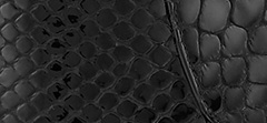 Mirror Leather