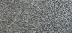 PEARLIZED GRAINY LEATHER