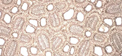 Embroidered Lace