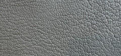 PEARLIZED GRAINY LEATHER