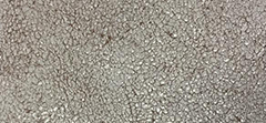 Soft Metallic Leather